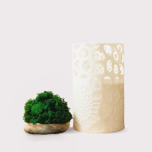 Mossy's 2x filter set