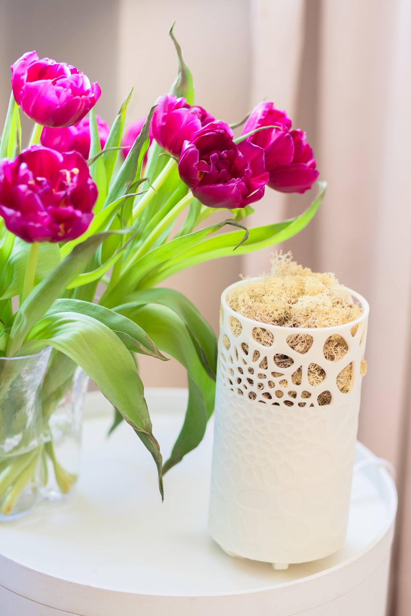 Mossy Air Purifier