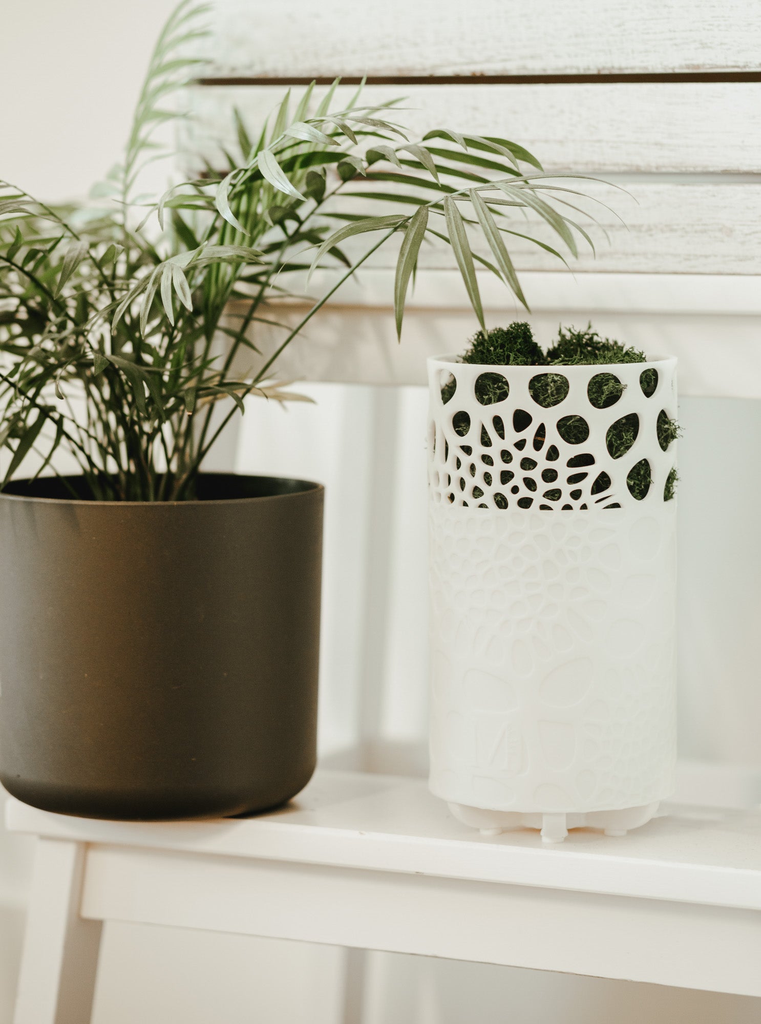 White Mossy air purifier on a white bench with a green plant to its left